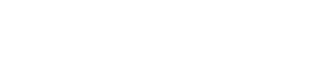 ZAYNIX FOOTER LOGO